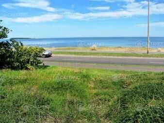 https://www.gallito.com.uy/venta-terreno-primera-linea-playa-manas-punta-del-este-inmuebles-24184290