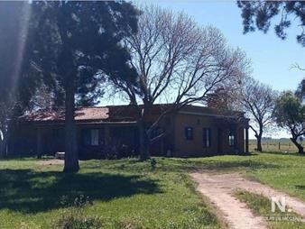 https://www.gallito.com.uy/vende-campo-de-2-padrones-en-treinta-y-tres-inmuebles-25831693