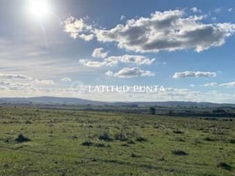 https://www.gallito.com.uy/chacra-en-sierra-de-las-cañas-inmuebles-23238646