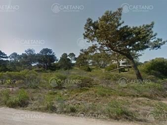 https://web5.gallito.com.uy/venta-terreno-en-chihuahua-inmuebles-24749549