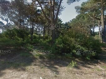 https://web5.gallito.com.uy/venta-terreno-chihuhuha-150-metros-al-mar-inmuebles-24749550