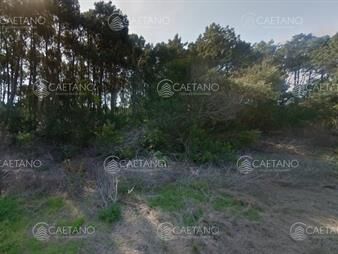 https://web5.gallito.com.uy/excelente-terreno-con-1000-metros-cuadrados-ubicado-a-250-m-inmuebles-24749552