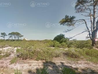 https://web5.gallito.com.uy/venta-terreno-chihuhua-punta-ballena-inmuebles-25861403