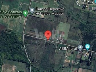 https://web5.gallito.com.uy/por-complejos-deportivos-hebraica-macabi-y-gonzalo-de-los-inmuebles-25852102