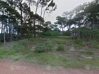 https://web5.gallito.com.uy/venta-terreno-ubicado-en-montoya-gran-oportunidad-inmuebles-25884853