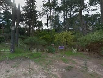 https://web5.gallito.com.uy/oportunidad-venta-terreno-montoya-inmuebles-25884886