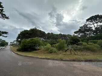 https://web5.gallito.com.uy/venta-terreno-en-montoya-la-barra-maldonado-inmuebles-25889312