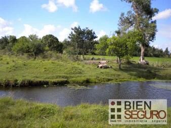 https://web5.gallito.com.uy/chacra-de-6-6-has-con-2-casas-en-venta-en-cerrillos-al-sur-inmuebles-24245501