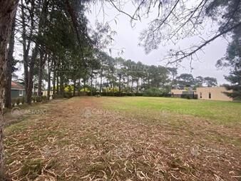 https://web5.gallito.com.uy/venta-lote-en-barrio-privado-residence-inmuebles-25889260