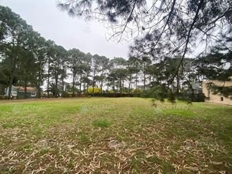 https://web5.gallito.com.uy/venta-lote-en-barrio-privado-residence-inmuebles-25892689