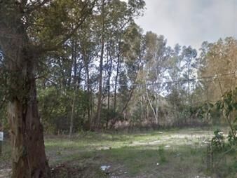 https://www.gallito.com.uy/terreno-a-la-venta-en-el-tesoro-maldonado-la-barra-inmuebles-25041581