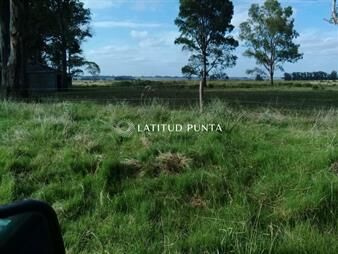 https://web5.gallito.com.uy/terreno-en-polo-club-country-de-ruta-10-kilometro-172-inmuebles-25907254