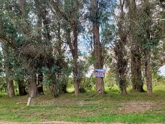 https://www.gallito.com.uy/terreno-esquinero-en-la-barra-inmuebles-25919659