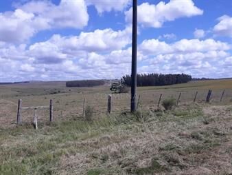 https://www.gallito.com.uy/campo-18-has-en-las-cañas-consulte-inmuebles-25257318