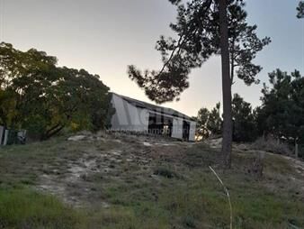 https://www.gallito.com.uy/terreno-en-un-alto-pinar-sur-inmuebles-25817012