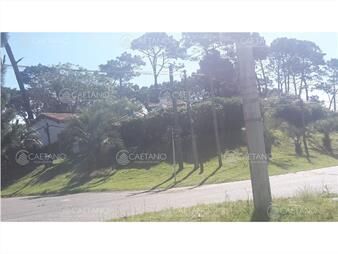 https://web5.gallito.com.uy/casa-en-venta-zona-de-barrio-cordoba-punta-del-este-disp-inmuebles-24174263