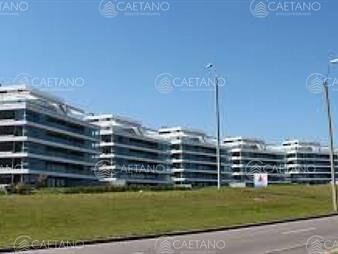 https://web5.gallito.com.uy/apartamento-3-dormitorios-con-piscina-propia-playa-brava-pu-inmuebles-24398455