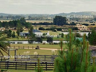 https://web5.gallito.com.uy/lote-en-el-quijote-5000-m2-inmuebles-25793426
