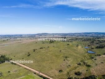 https://www.gallito.com.uy/chacra-zona-mataojo-inmuebles-25553742