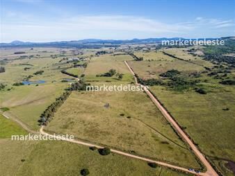 https://www.gallito.com.uy/chacras-ruta-12-inmuebles-25553758