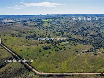 https://www.gallito.com.uy/chacras-a-5km-de-pueblo-eden-inmuebles-25553759