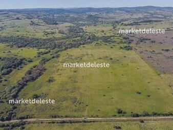 https://www.gallito.com.uy/chacras-pueblo-eden-inmuebles-25553743