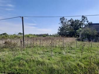 https://web5.gallito.com.uy/camino-del-andaluz-muy-proximo-a-ruta-perimetral-inmuebles-25978976