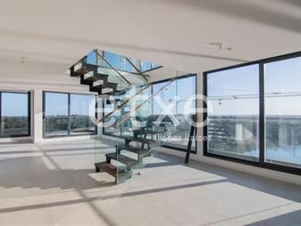 https://web5.gallito.com.uy/venta-duplex-4-dormitorios-carrasco-boating-torre-1-inmuebles-25984878
