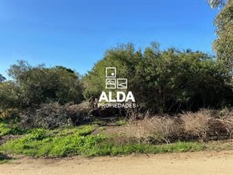 https://www.gallito.com.uy/terreno-en-pueblo-obrero-ref-te101275-inmuebles-22507075