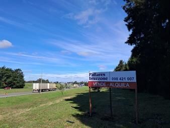 https://web5.gallito.com.uy/ruta-5-km-15-predio-rural-con-mejoras-inmuebles-26000859