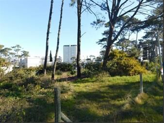 https://web5.gallito.com.uy/terreno-punta-del-este-inmuebles-18436563