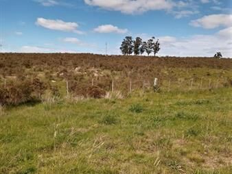https://www.gallito.com.uy/campo-pan-de-azucar-inmuebles-21506707