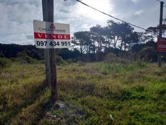 https://web5.gallito.com.uy/terreno-punta-del-este-inmuebles-24852088