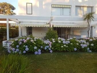 https://www.gallito.com.uy/apartamento-playa-mansa-inmuebles-23098185