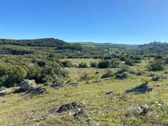 https://www.gallito.com.uy/chacra-en-pueblo-eden-inmuebles-24284053