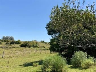 https://www.gallito.com.uy/campo-en-pueblo-eden-inmuebles-24852148