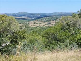 https://www.gallito.com.uy/chacra-en-pueblo-eden-7-hectareas-ruta-12-inmuebles-24149811