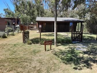 https://web5.gallito.com.uy/balneario-buenos-aires-inmuebles-24782638