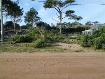 https://www.gallito.com.uy/terreno-en-chihuhua-1000-m2-inmuebles-25669706