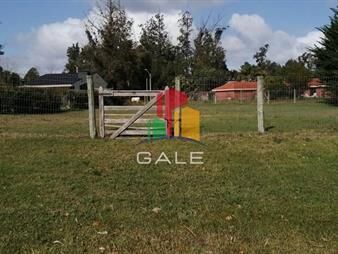 https://web5.gallito.com.uy/terreno-en-punta-del-este-inmuebles-26008159