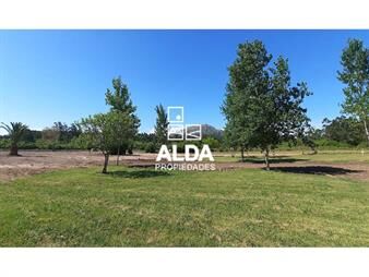 https://web5.gallito.com.uy/terreno-en-pueblo-obrero-ref-te500328-inmuebles-23002073