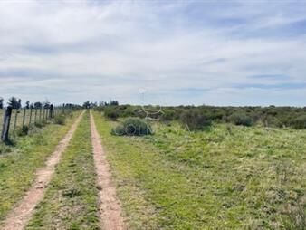 https://www.gallito.com.uy/campo-15-has-con-costa-de-arroyo-en-los-ceibos-inmuebles-26059456