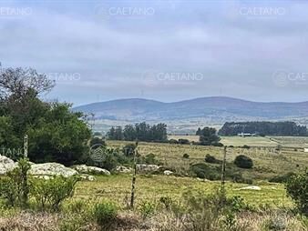 https://www.gallito.com.uy/venta-chacra-pueblo-eden-55-has-inmuebles-26085322