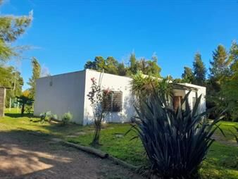 https://www.gallito.com.uy/casa-ocean-park-inmuebles-21812126