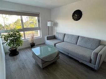https://www.gallito.com.uy/apartamento-punta-del-este-inmuebles-25975632