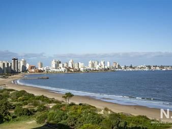 https://web5.gallito.com.uy/departamento-en-venta-torre-tamanaco-frente-al-mar-punta-inmuebles-25035465