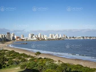 https://web5.gallito.com.uy/departamento-en-venta-torre-tamanaco-frente-al-mar-punta-inmuebles-21902536