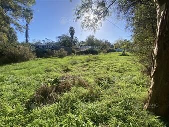 https://web5.gallito.com.uy/venta-terreno-el-tesoro-la-barra-inmuebles-25486688