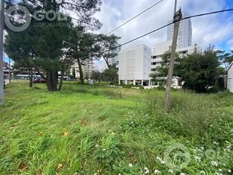 https://www.gallito.com.uy/venta-de-terreno-en-punta-del-este-inmuebles-26093218