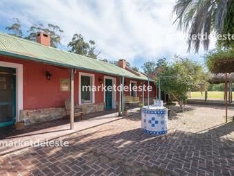 https://web5.gallito.com.uy/chacra-en-la-pataia-inmuebles-25373191